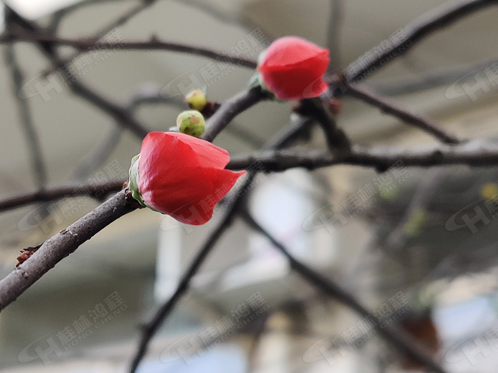 桂林鴻程花團錦簇，滿園春色，邀您一起共賞春景，共商大計！