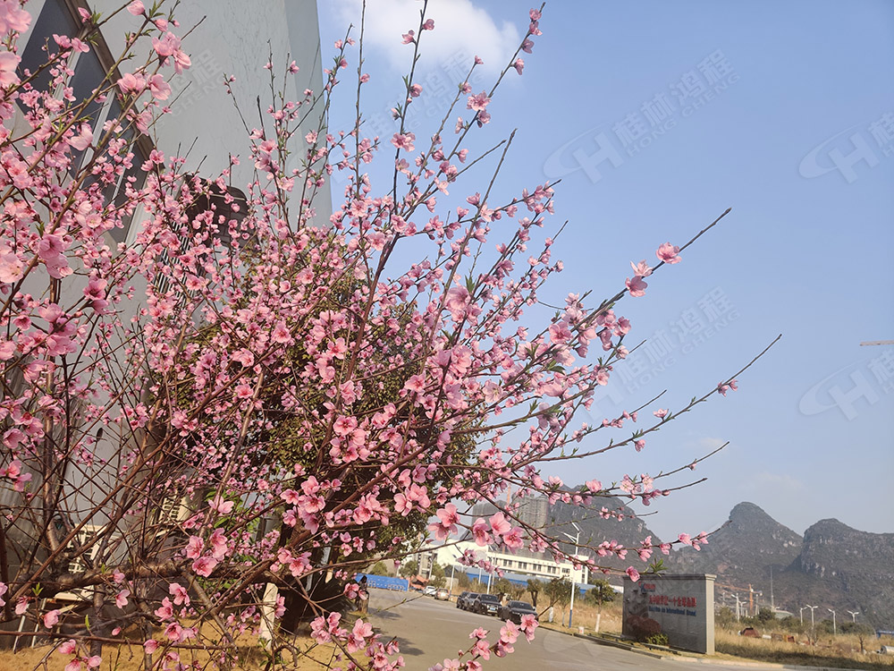 桂林鴻程花團錦簇，滿園春色，邀您一起共賞春景，共商大計！